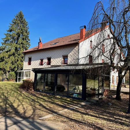 Ferme Des Jonquilles 15P - Billard, Ps4, Salle De Sport Gérardmer Exterior foto