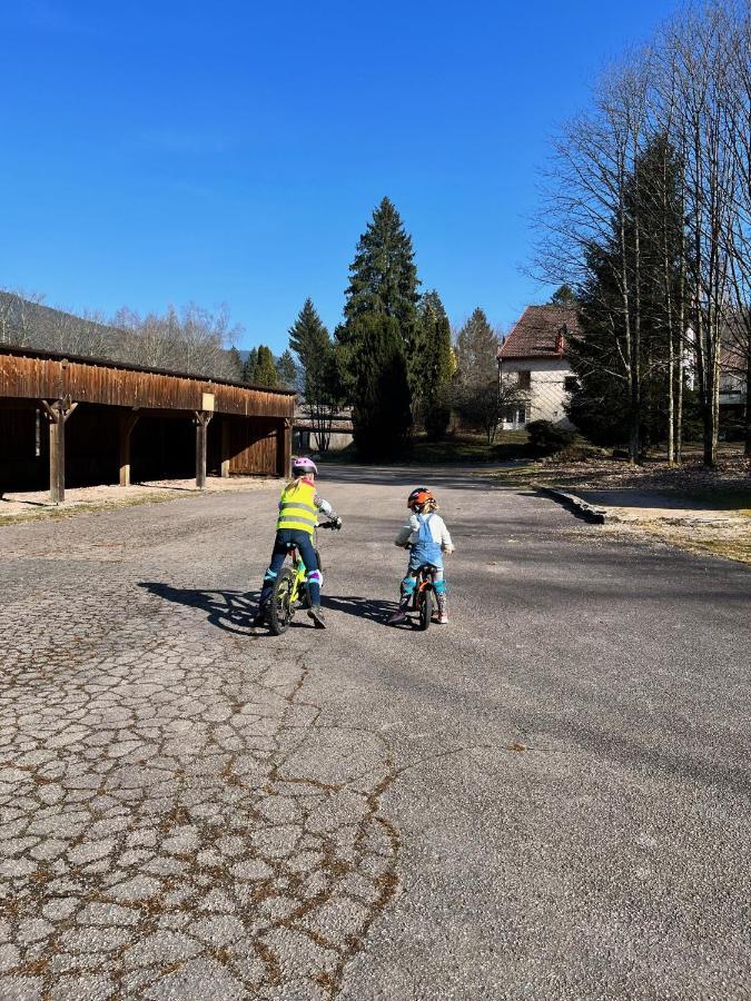 Ferme Des Jonquilles 15P - Billard, Ps4, Salle De Sport Gérardmer Exterior foto